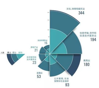 中傳2018屆畢業(yè)生就業(yè)分析 聚焦薪酬與軟件信息技術(shù)行業(yè)去向